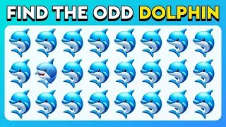 Find the ODD One Out - Sea Edition! 🐬🐚🦑 Easy, Medium, Hard - 30 levels
