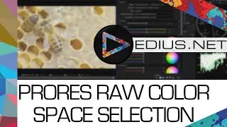 EDIUS.NET Podcast - Выбор цветового пространства ProRes RAW