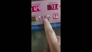 Hethya 120 Automatic chicken egg incubator- Ultimate Guide (ft. Piper)