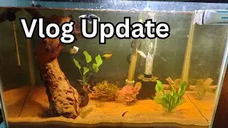 Fish Vlog  39: Cory Move in Day!