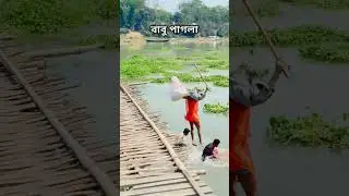 বাবু পাগলা  $$Local Janota  #পাগলা #foryou #comedy #everyone #local_janota