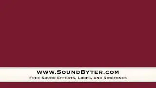 Free Squeak Toy Sound Effect