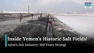 Why Aden&rsquo;s Salt is the Best in the Arab World! | DRM News | AF15
