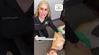 Season of Giving Fundraiser: Two Hands Four Paws Foundation