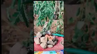 90's kids nostu#90s #kids#kerala #nostalgia#play #playing #reelsvideo #vacation #time
