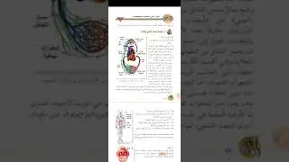💥الجهاز الليمفاوي💥
