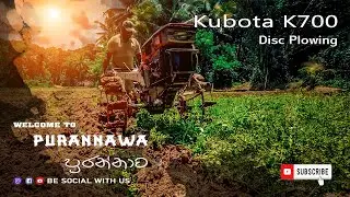 Kubota Hand Tractor K700  With Disc Plowing Paddy Field | คูโบต้า K700