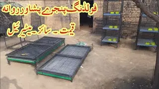 Folding Cages Prices , Size , Meterial And Details //MM CAGE MAKER MIANWALI 0334_4851612