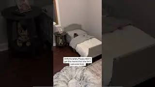 Что еще нам стоит добавить в комнату Майло?😆