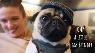 PUG CAFE | BIRMINGHAM