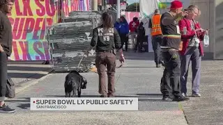NFL outlines public safety plan for Super Bowl
