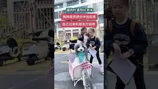 A dog s self-cultivation#Super expensive Cola Sister#Cute pets#You won t know the joy of k