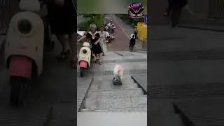Dog Braking on a Skatebord#DogOnSkateboard #FunnyDog #SkateboardingDog#PetTricks#DogTalent#CutePets