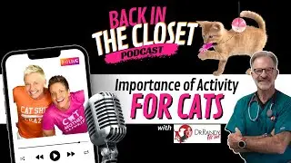 C.A.T.S. Series: &ldquo;A&rdquo; Is for Activity with Dr. Randy Aronson | Back In The Closet