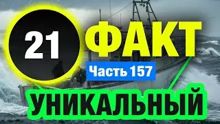 21 Неповторимый Факт Который Сделает Вас Умнее