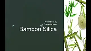 Bamboo Silica: Trade Technology Project Information
