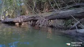 Viver (de las Aguas) - El Sargal - TerritorioValencia.es