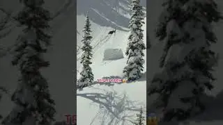 Triple flip on skis ∆1 #shorts