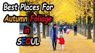 Where To See Autumn Foliage In Seoul (Best Places for Autumn Foliage in Seoul)