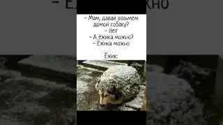 #юмор #memes #анекдоты #смех #смешно #fun #мем