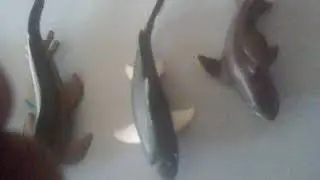Prehistoric sea life size comparison