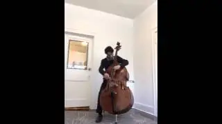 Joel DiBartolo bass at Quantum Bass Center