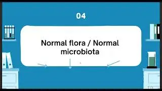 Lecture2:specimen collection for microbiology