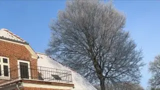 Look it&rsquo;s beautiful frost trees