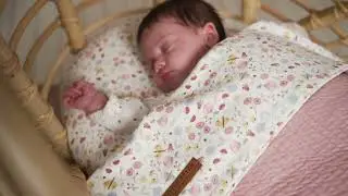 Little Dutch | Cot sheet - Flowers & Butterflies