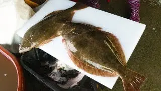 Рыбацкий рынок Кореи / натуральная плоская рыба, сашими из палтуса 2 кг, сашими из рыбы, 4K
