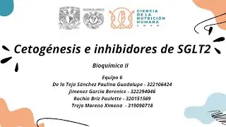 Cetog&eacute;nesis e inhibidores SGLT2 - Bioqu&iacute;mica ll LCNH