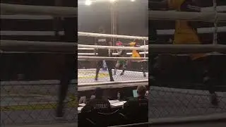 13th African Games MMA held at Bukom Arena in Accra-Ghana. #foryou #boxing #mma #fight