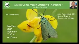 A Moth Conservation Strategy for Yorkshire