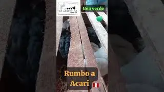 6 pollosde gen verde  rumbo  Acari#emprendedores #gallinascriollas #genverde #granja #parati