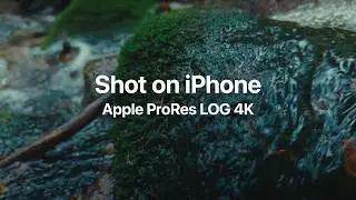 Лучшие настройки для Apple ProRes LOG (+ Cinematic LUT)