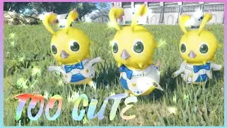 PSO2 NGS - CEREMO RAPPY SING FOR ME!