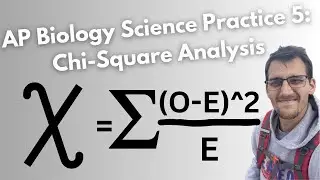 AP Biology Exam Prep - Chi square Analysis