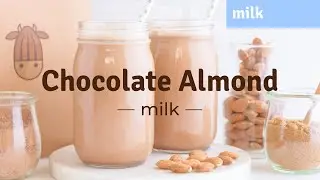 How To Make Chocolate Almond Milk At Home (without straining!) with Almond Cow