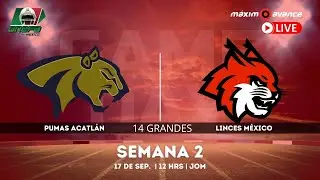 MÁXIMO AVANCE EN VIVO: PUMAS ACATLÁN vs LINCES MÉXICO UVM | Liga Mayor 2022 ONEFA