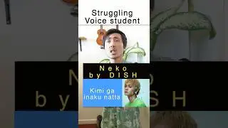 [Neko 猫 by DISH//] How to sing high notes in Japanese singing #japanesesinger #singingtips #J-pop