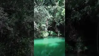 The charm sounds of nature for sleep and meditation #shorts #calming #nature