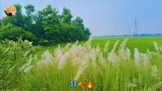 My College Vlog | Last Day in College 🏫✨ | College Life | Hindi Vlog