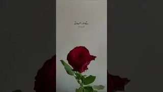 Balochi status song / Noor Khan bezinjo