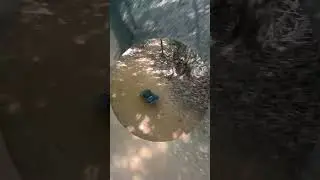 N8 🛞 Rides Trail & Nature 📱POV EDM