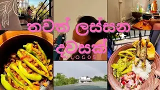 නිදහසේ ගෙවුනු දවල් වරුවක් 🍲🍳💃 | Vlog 05 