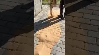 Brown sand on grey pavers? For real?  #diy #construction #satisfying #works #concrete #landscape