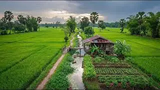 No Ads 4K HDR Peaceful River Nature Ambience for Stress Free Sleep