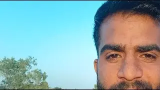 Lovecouple 9521 is live!