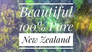 Beautiful New Zealand| PureNZ Travelog | Nature Video