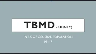TBMD - THIN Basement Membrane Disease (Kidney) #KidneyHealth #TBMD #ThinBasementMembrane